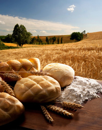 Italienische Brote